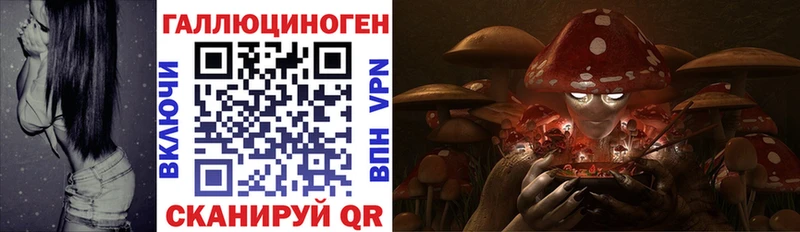 Галлюциногенные грибы Cubensis Новоульяновск